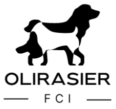Olirasier